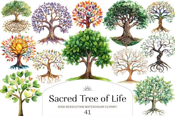 Download Sacred Tree of Life Clipart Bundle - Premium Resources