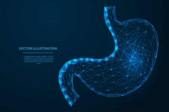 Download Stomach Low Polygonal Blue Wireframe - Premium Bundle
