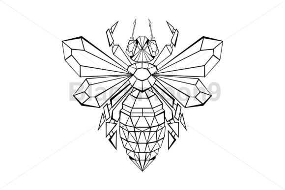 Download Polygonal Bee - Polygonal Collection